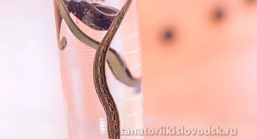 Санаторий Долина Нарзанов