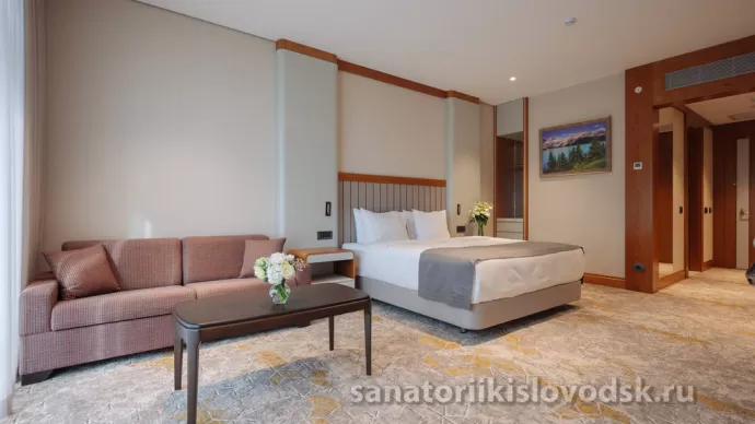 Санаторий Источник Кисловодск. 2 местный 2 комнатный Люкс (84 м²)